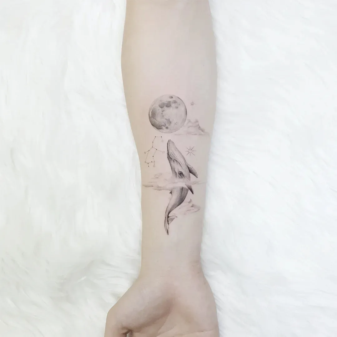 이미지 7