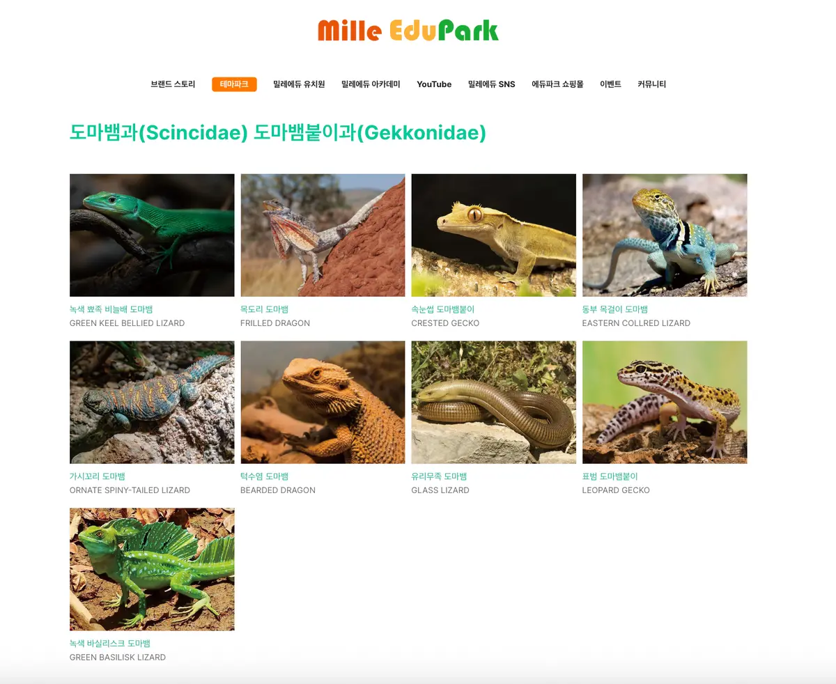 이미지 4