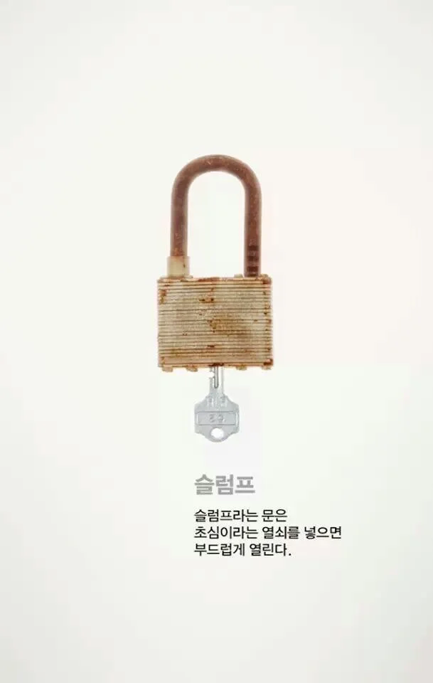 이미지 3