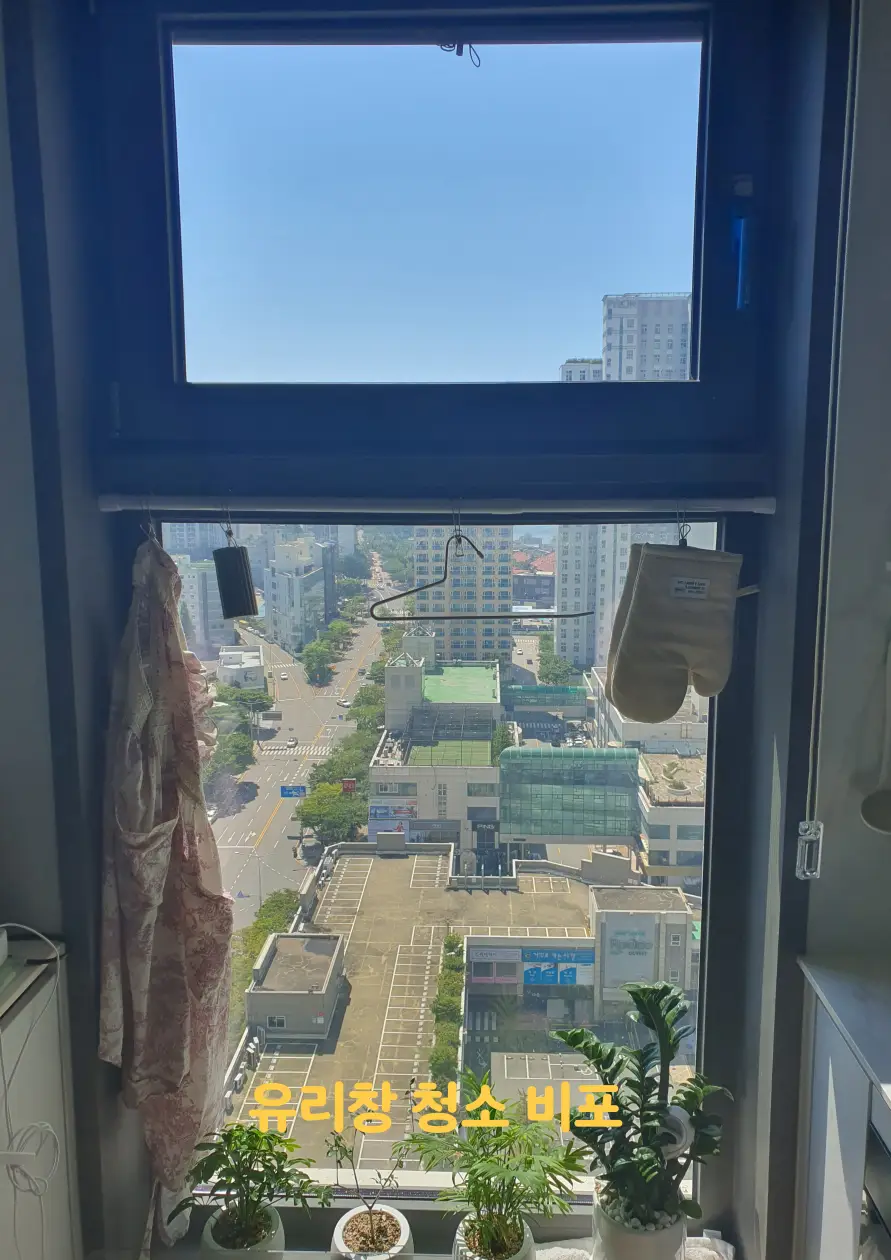 이미지 10