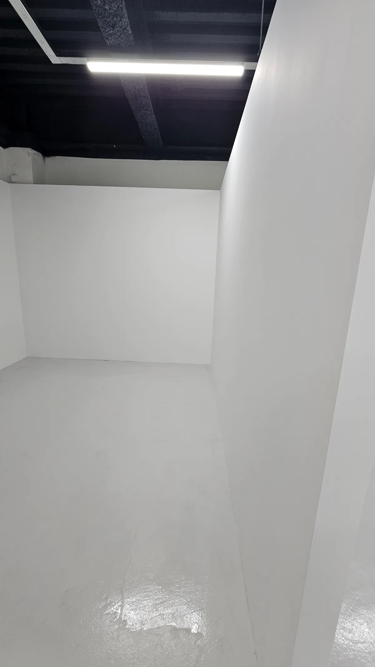 이미지 12
