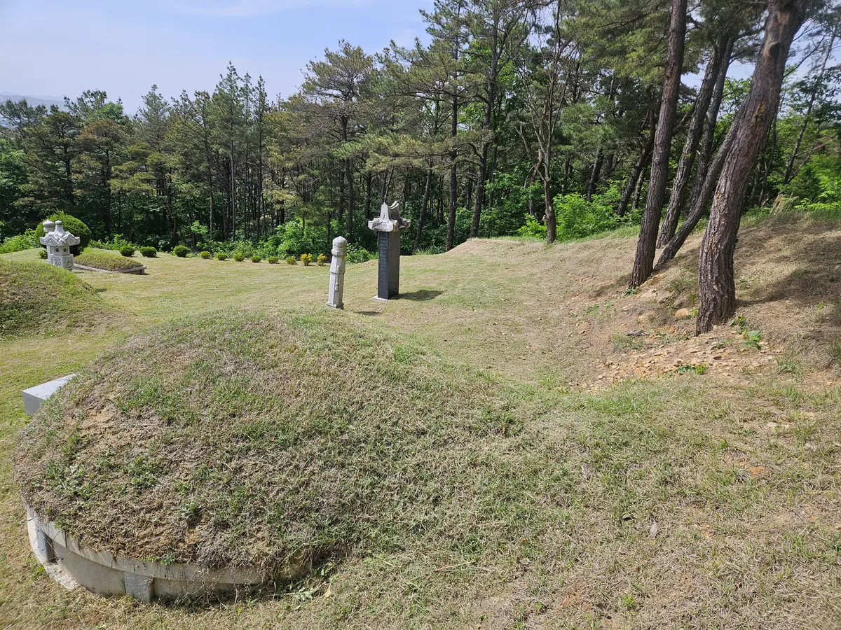 이미지 8