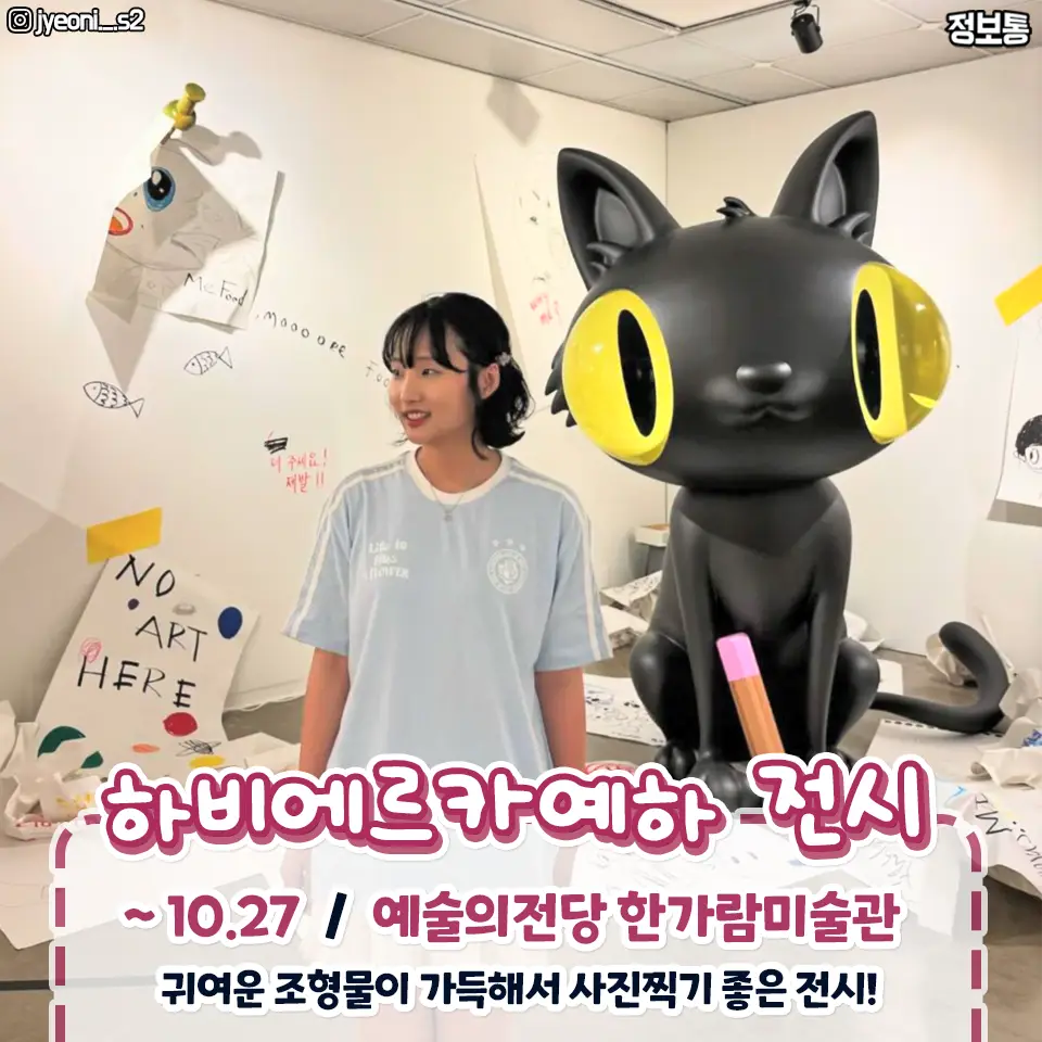 이미지 5