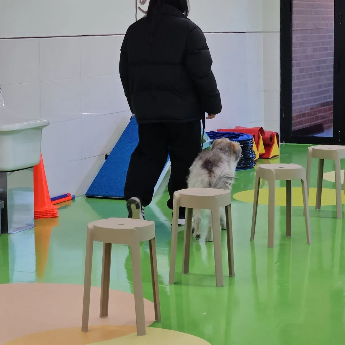 이미지 3
