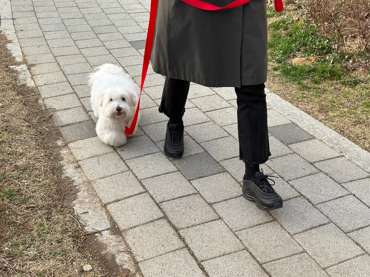 이미지 3