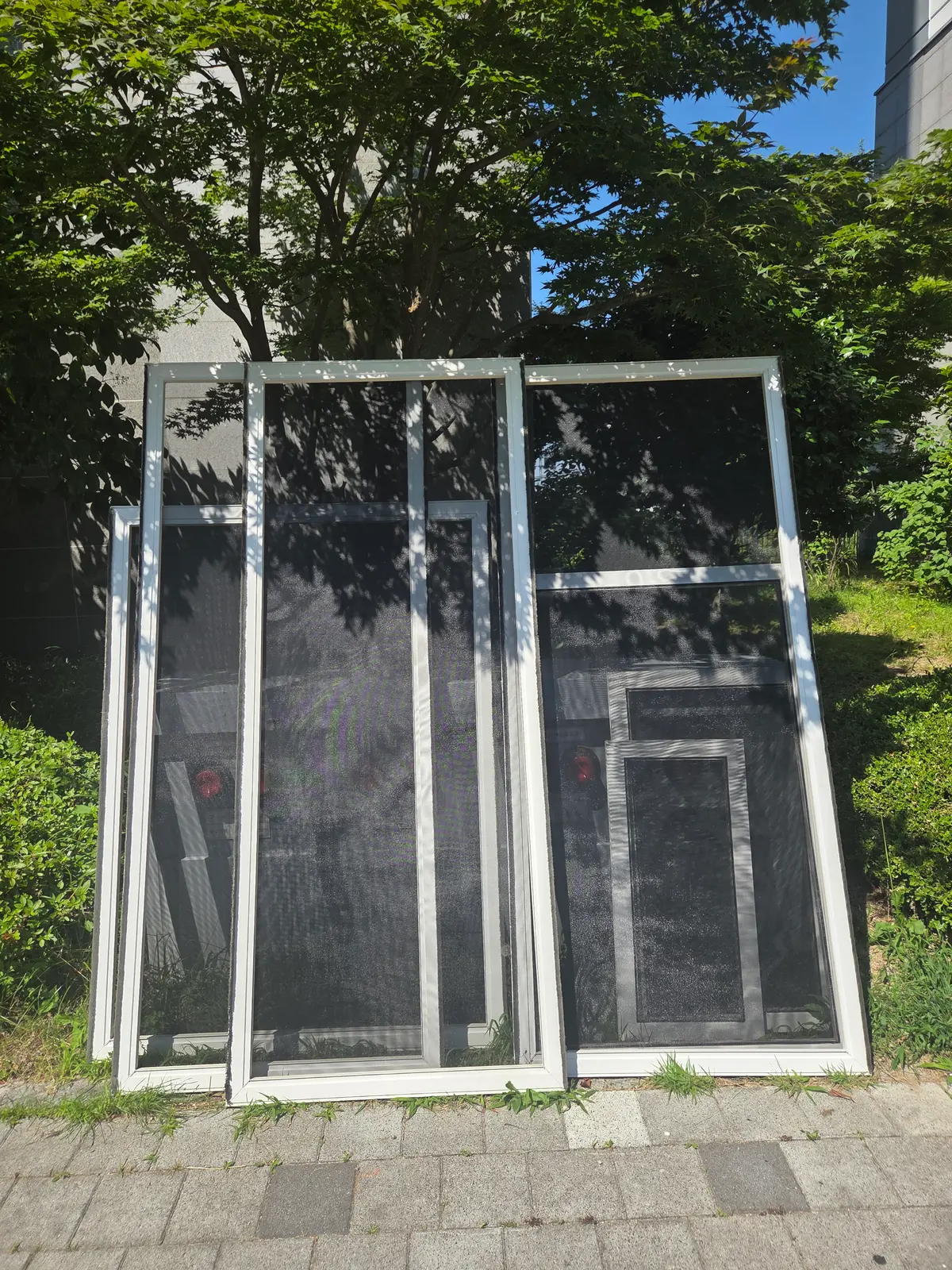 이미지 8