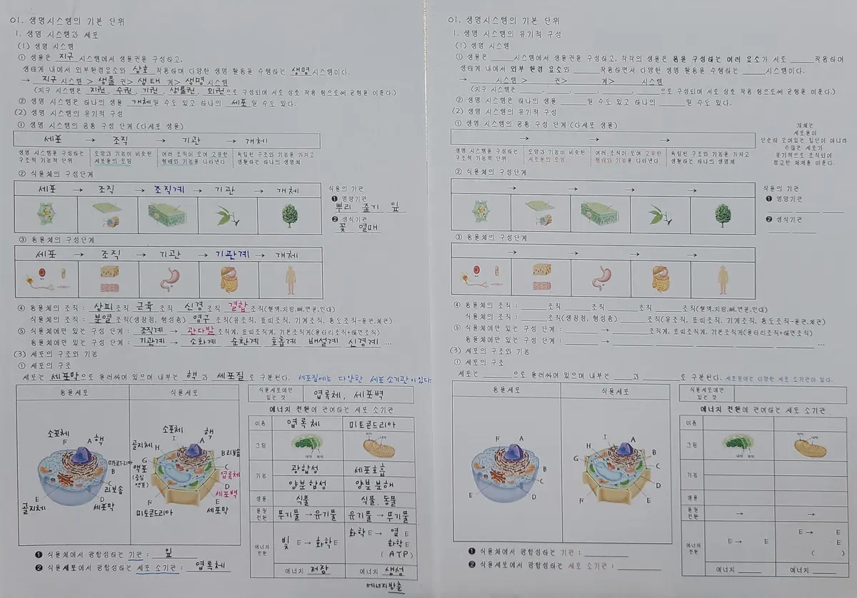 이미지 3
