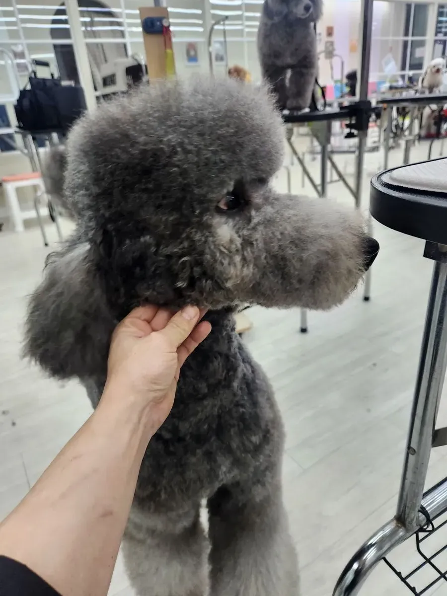 이미지 26