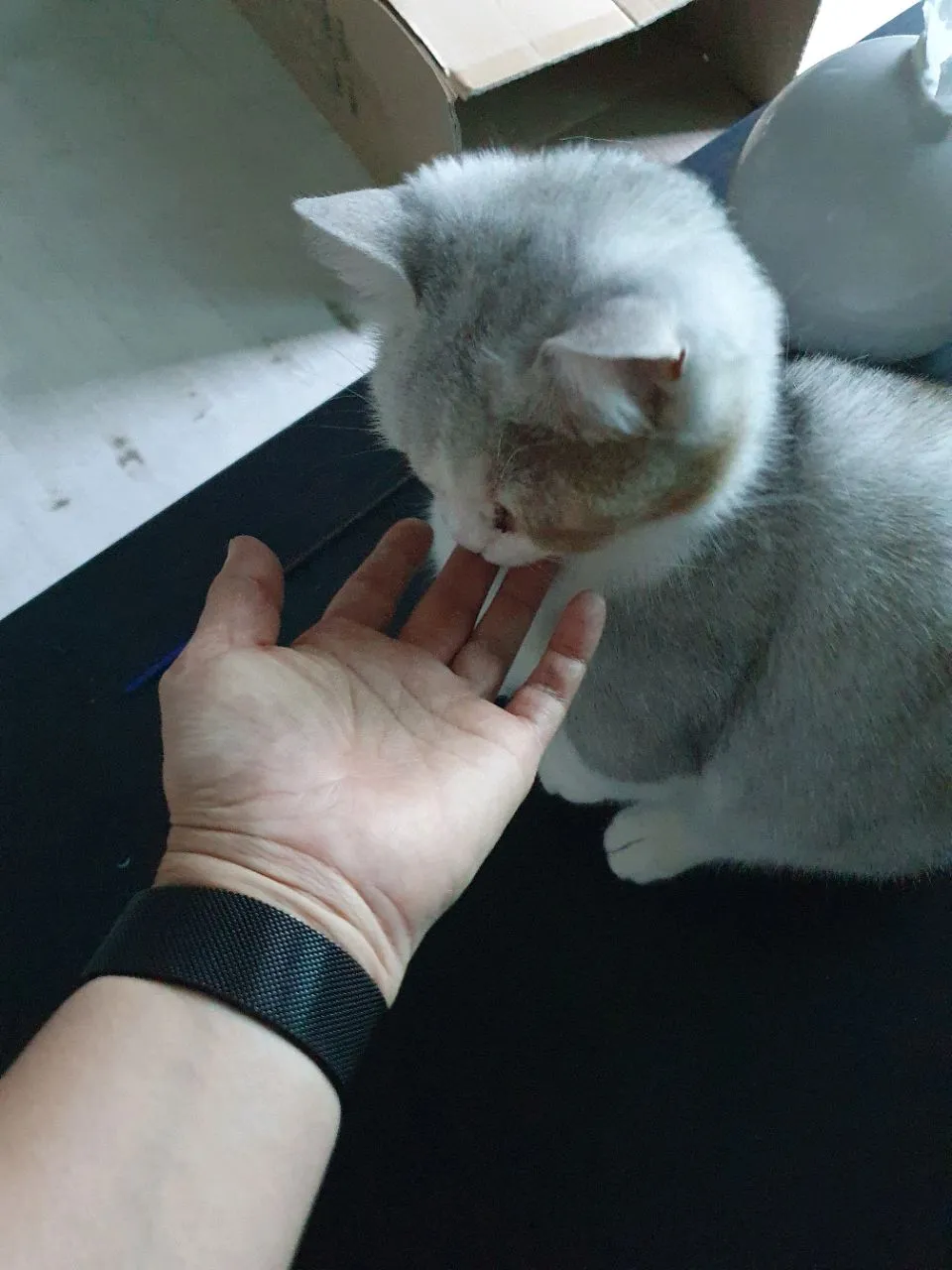 이미지 6