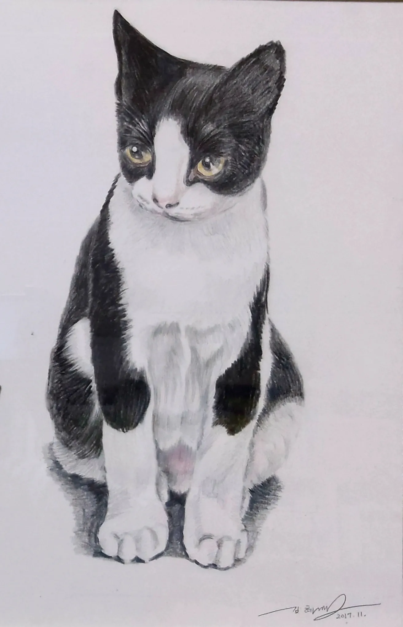 이미지 12