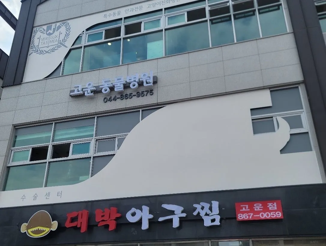 이미지 4