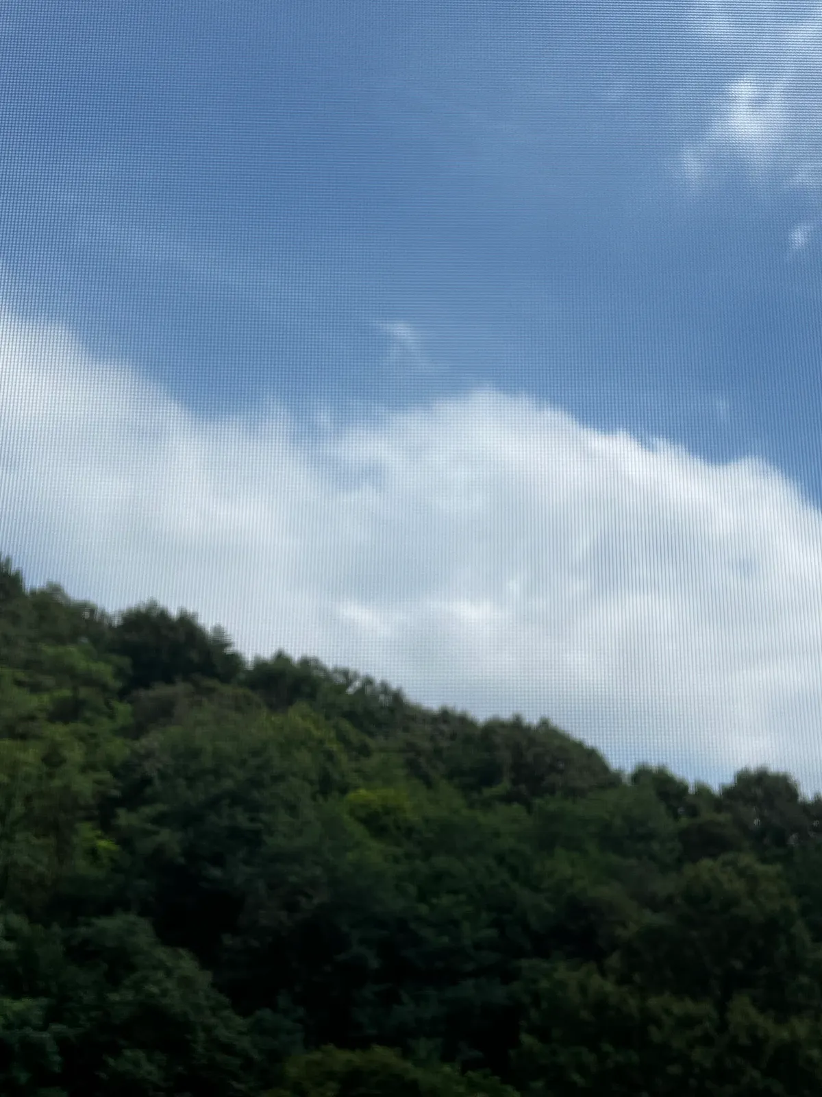이미지 10