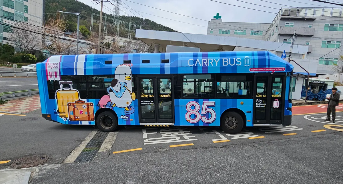 이미지 12
