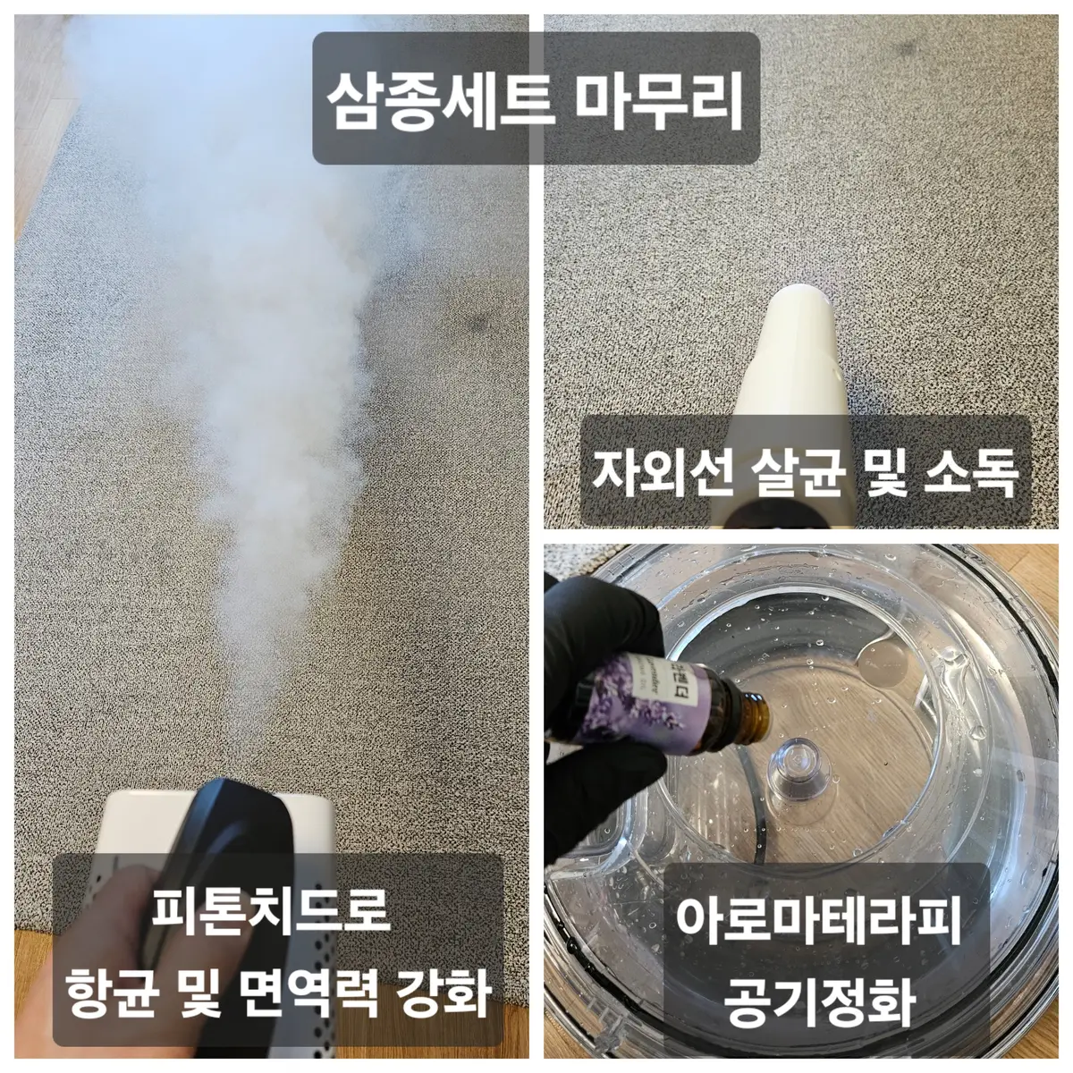 이미지 6