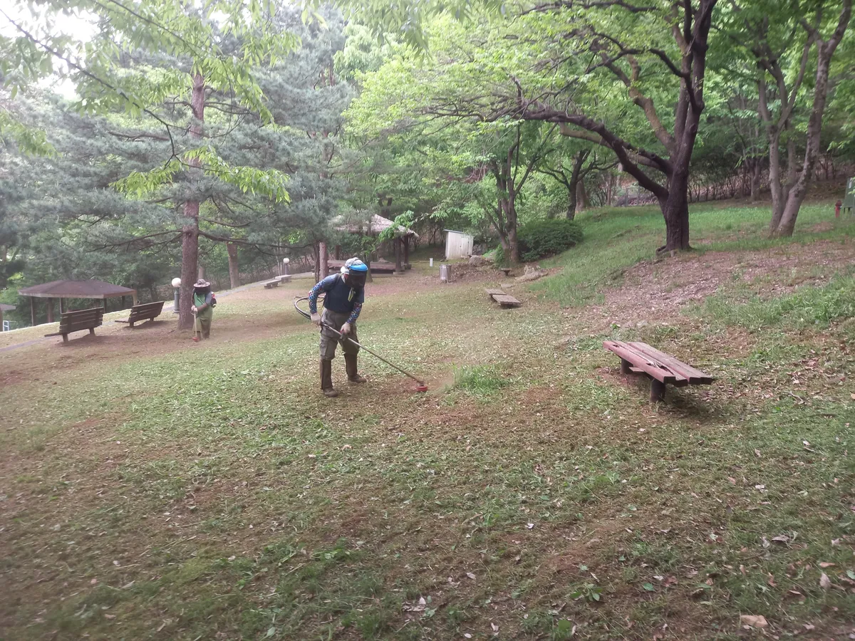 이미지 8