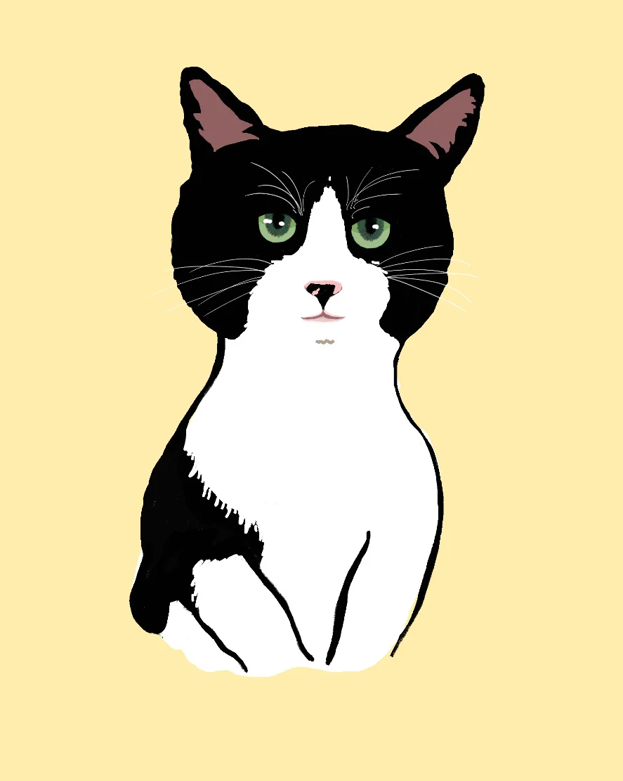 이미지 7