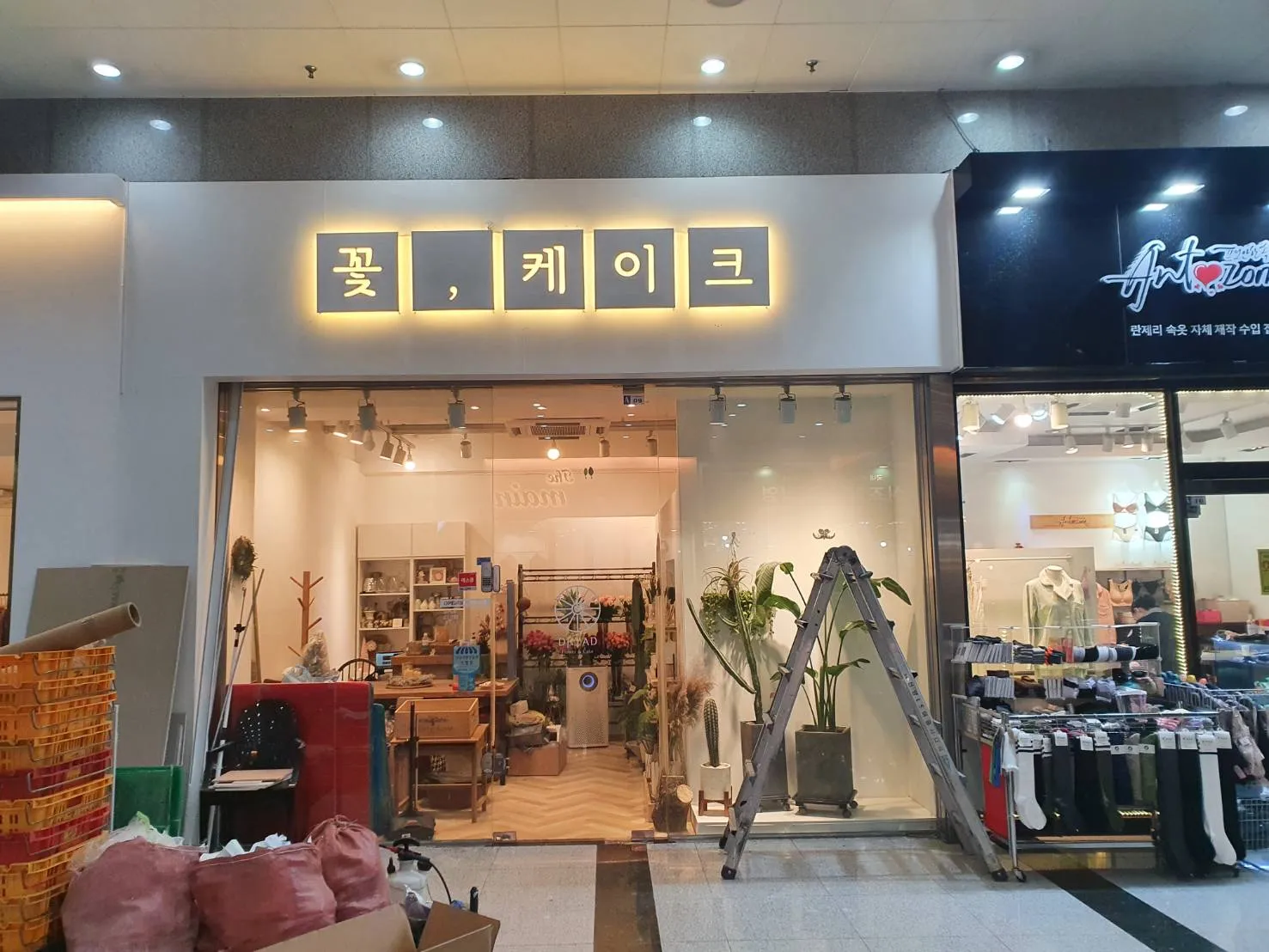 이미지 3