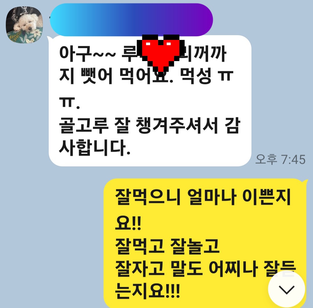 이미지 11