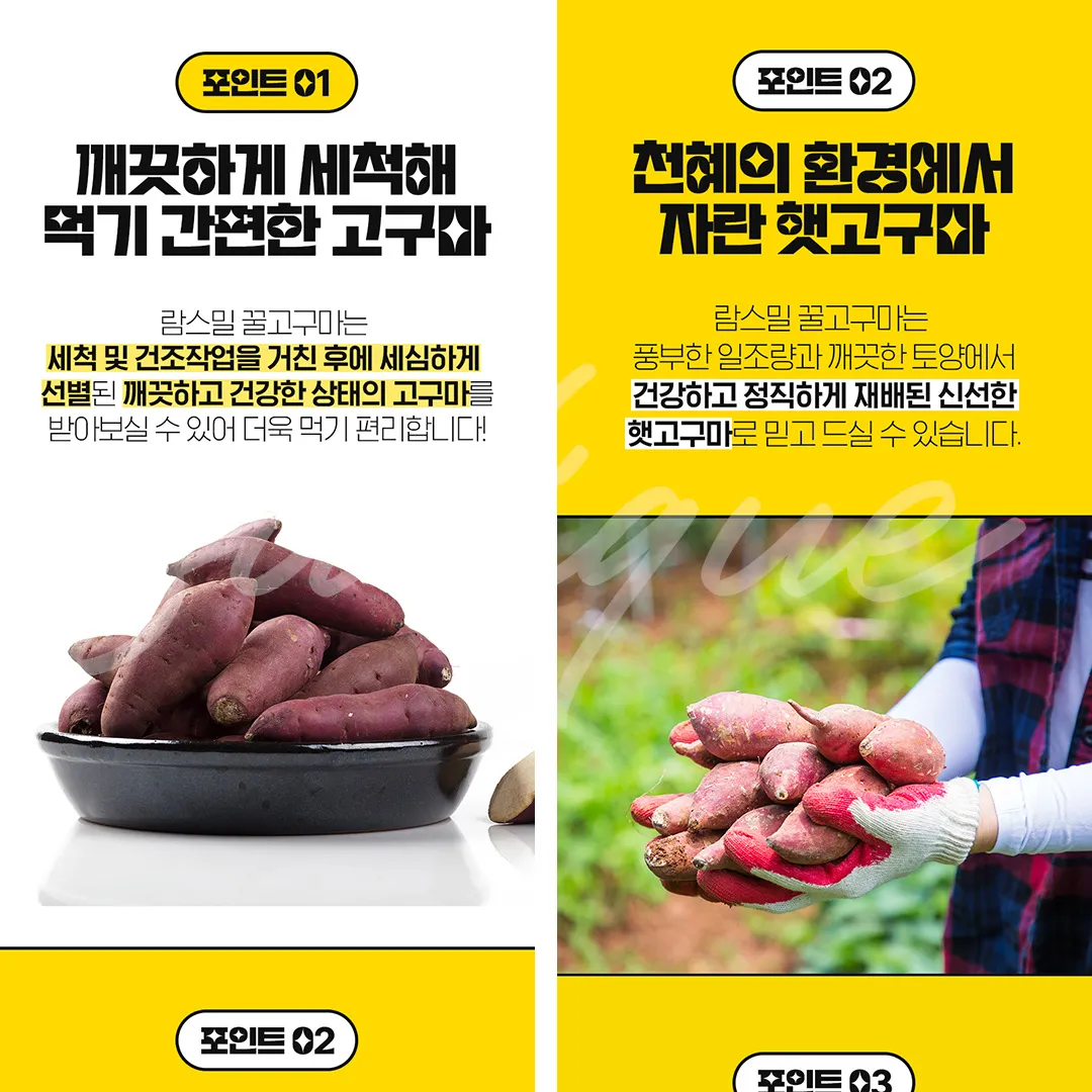 꿀고구마 상세페이지 / 수디크 - 숨고, 숨은고수 꿀고구마 상세페이지