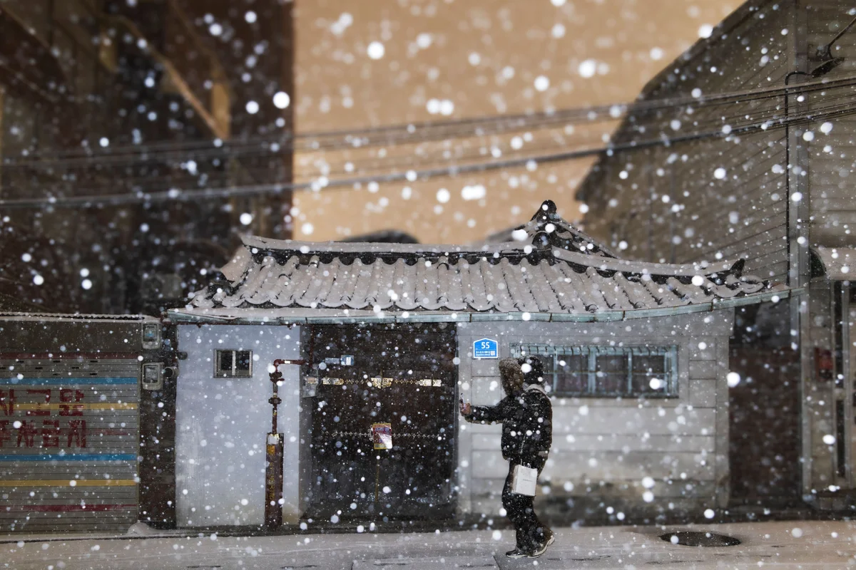 이미지 10