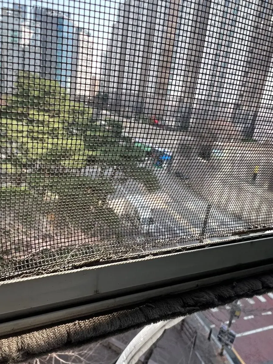 이미지 2