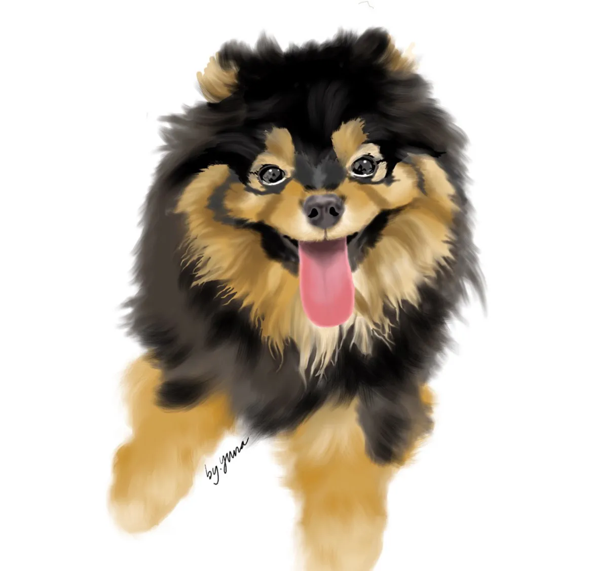 포트폴리오 이미지