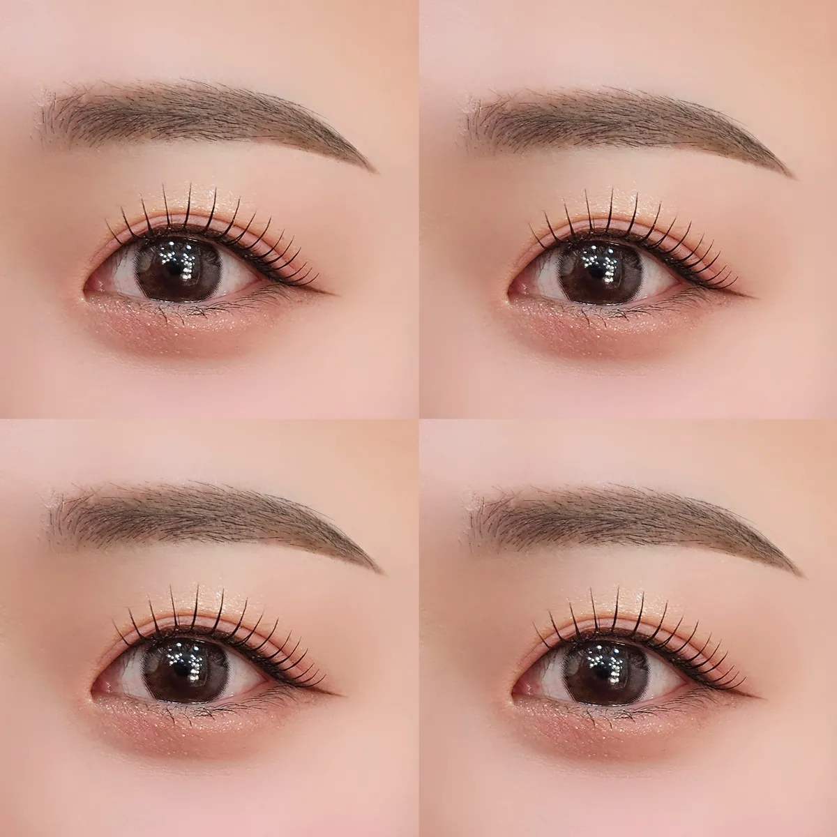 이미지 5
