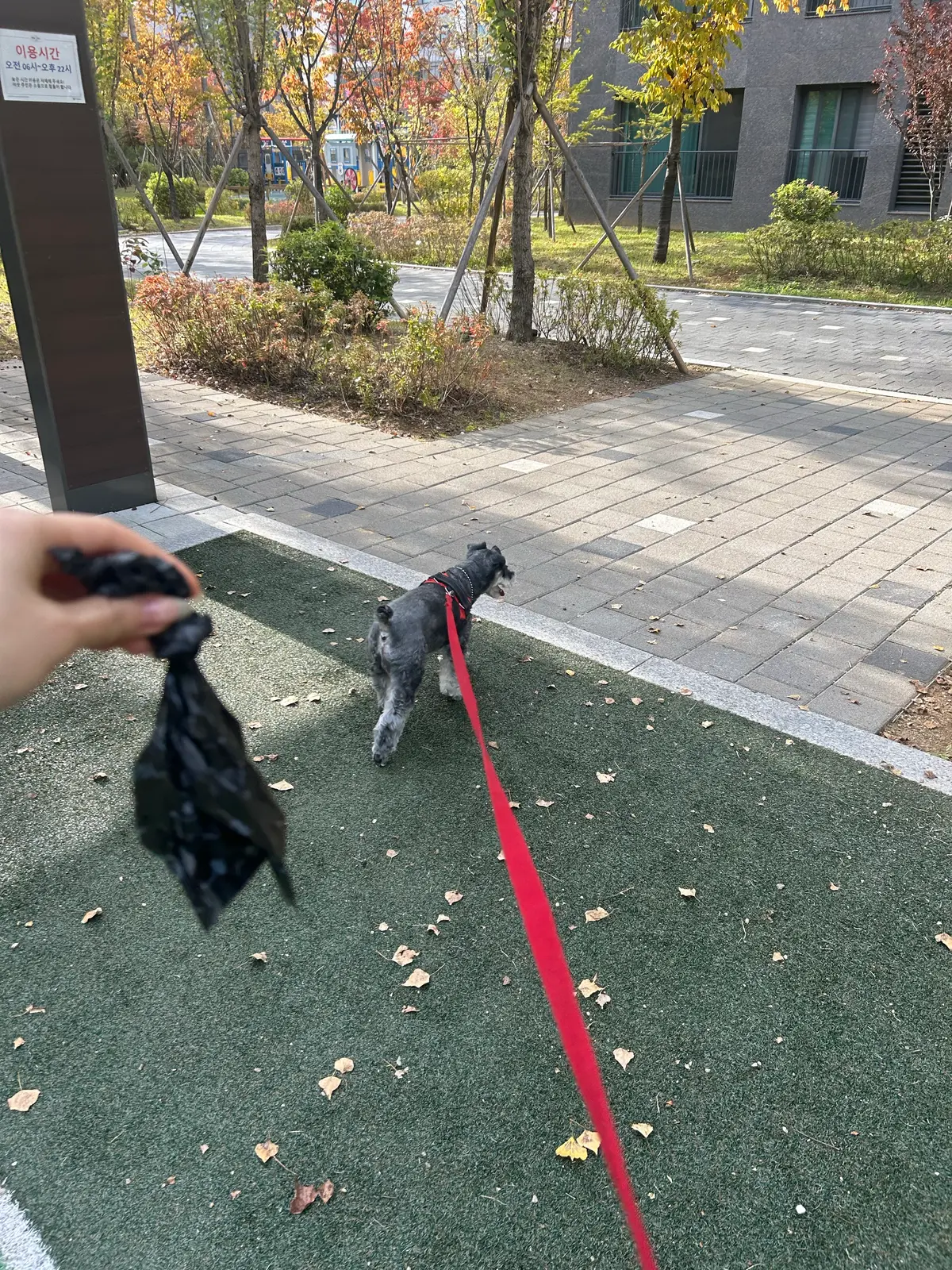 이미지 5