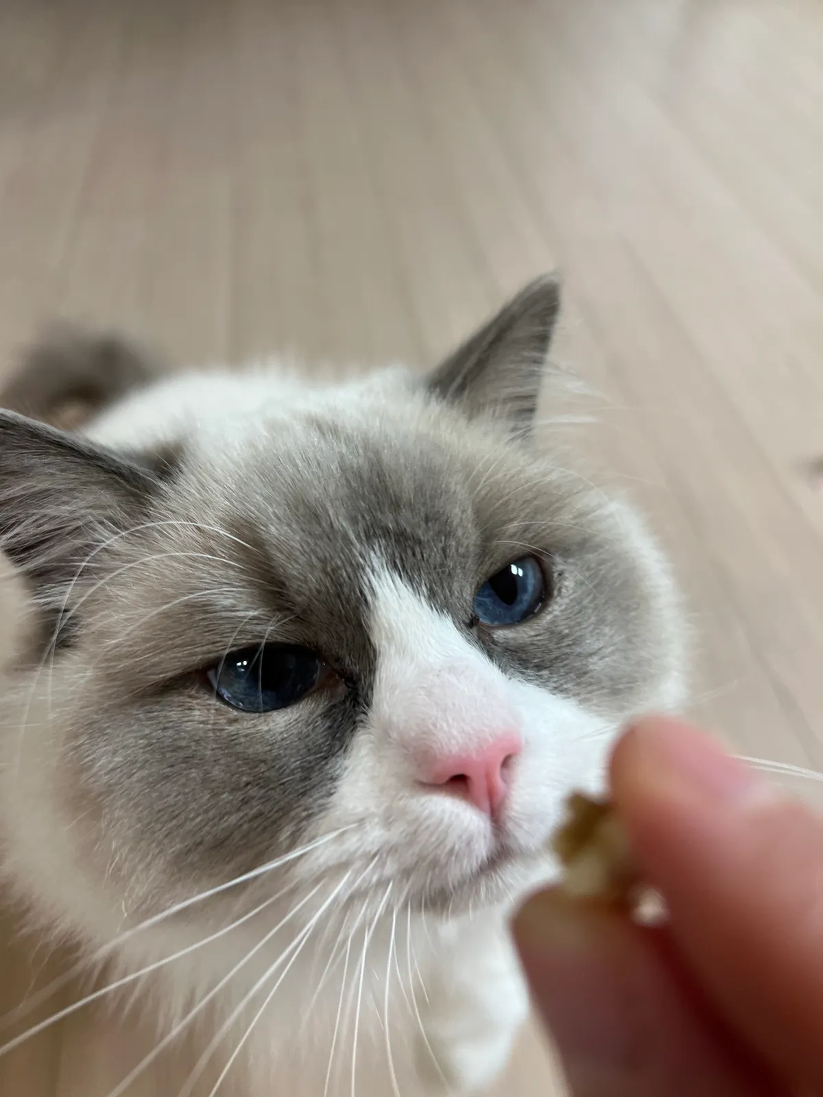 이미지 3