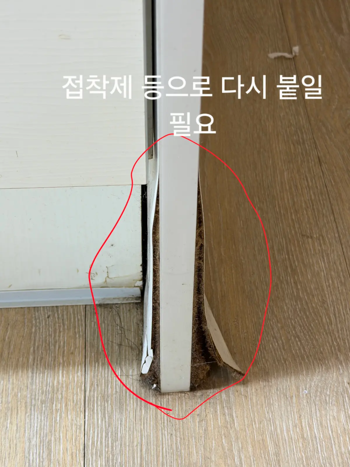 이미지 6