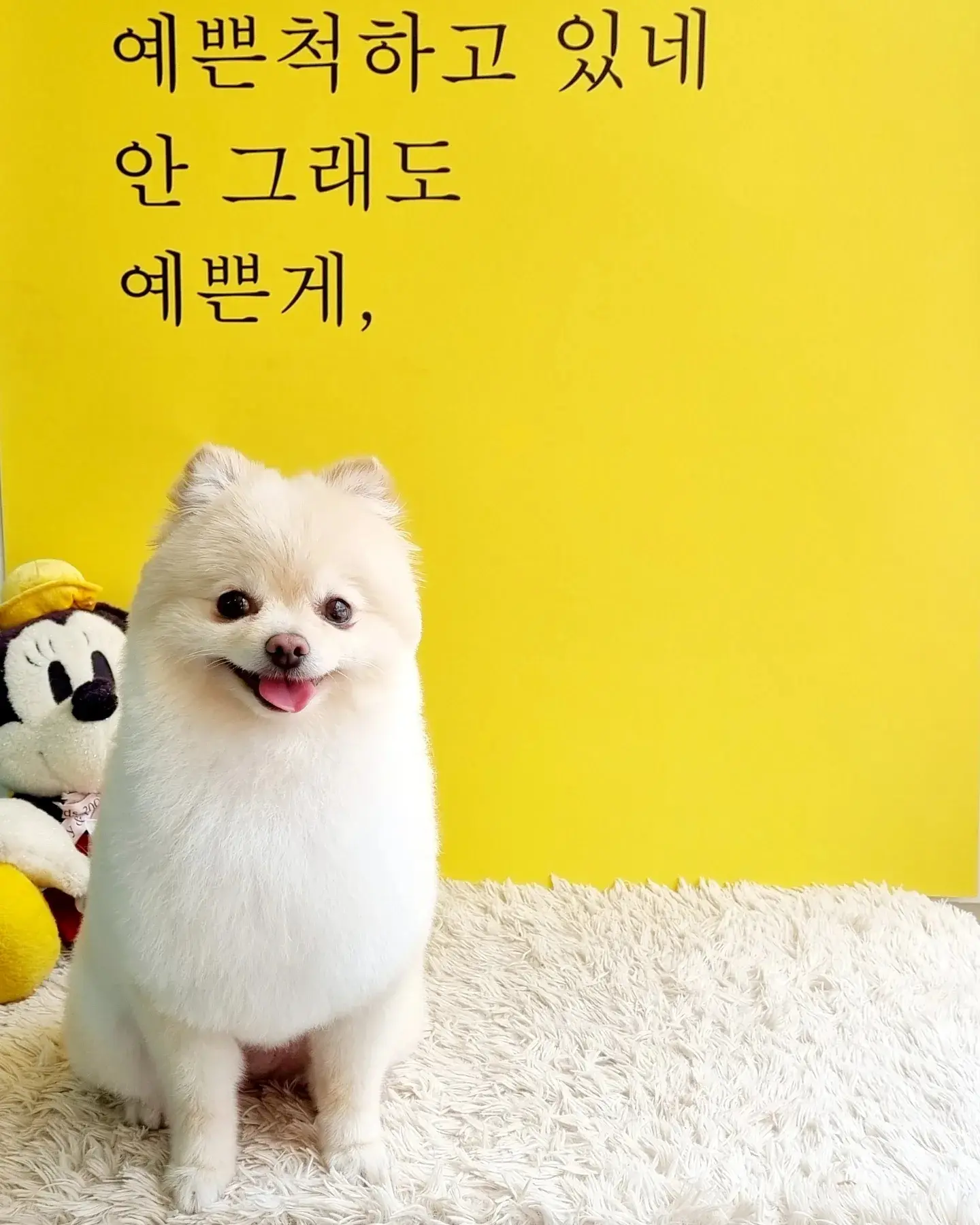 이미지 12