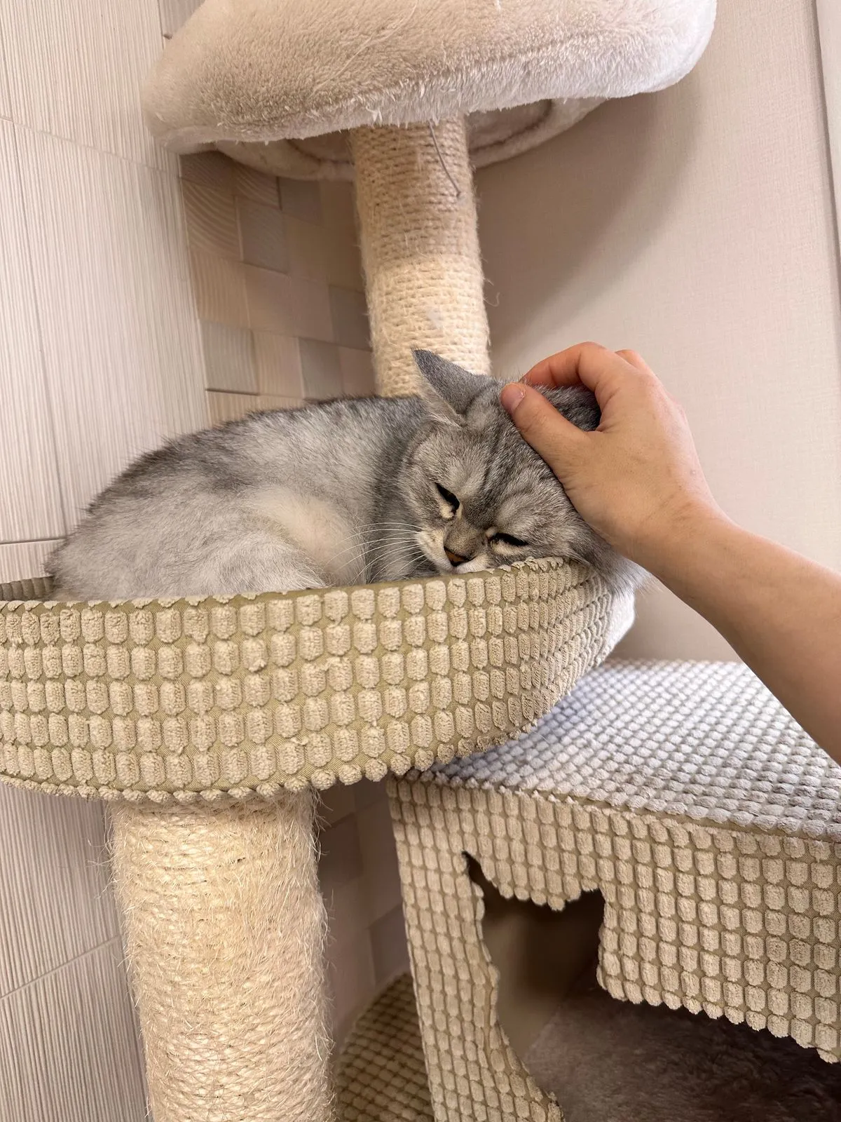 이미지 7