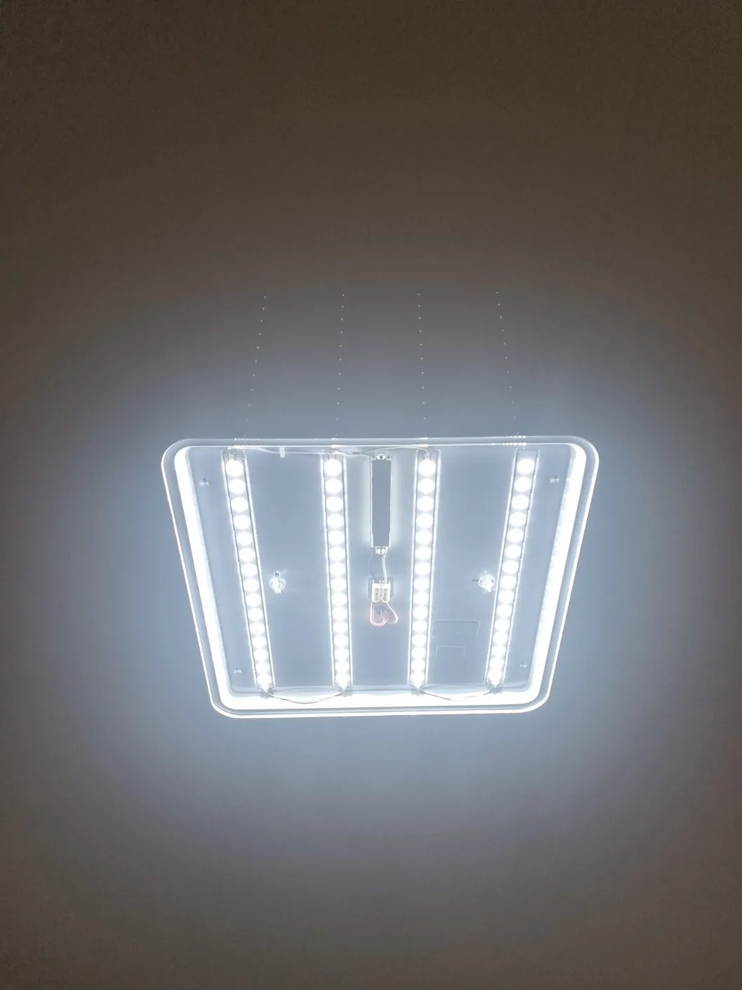 이미지 9