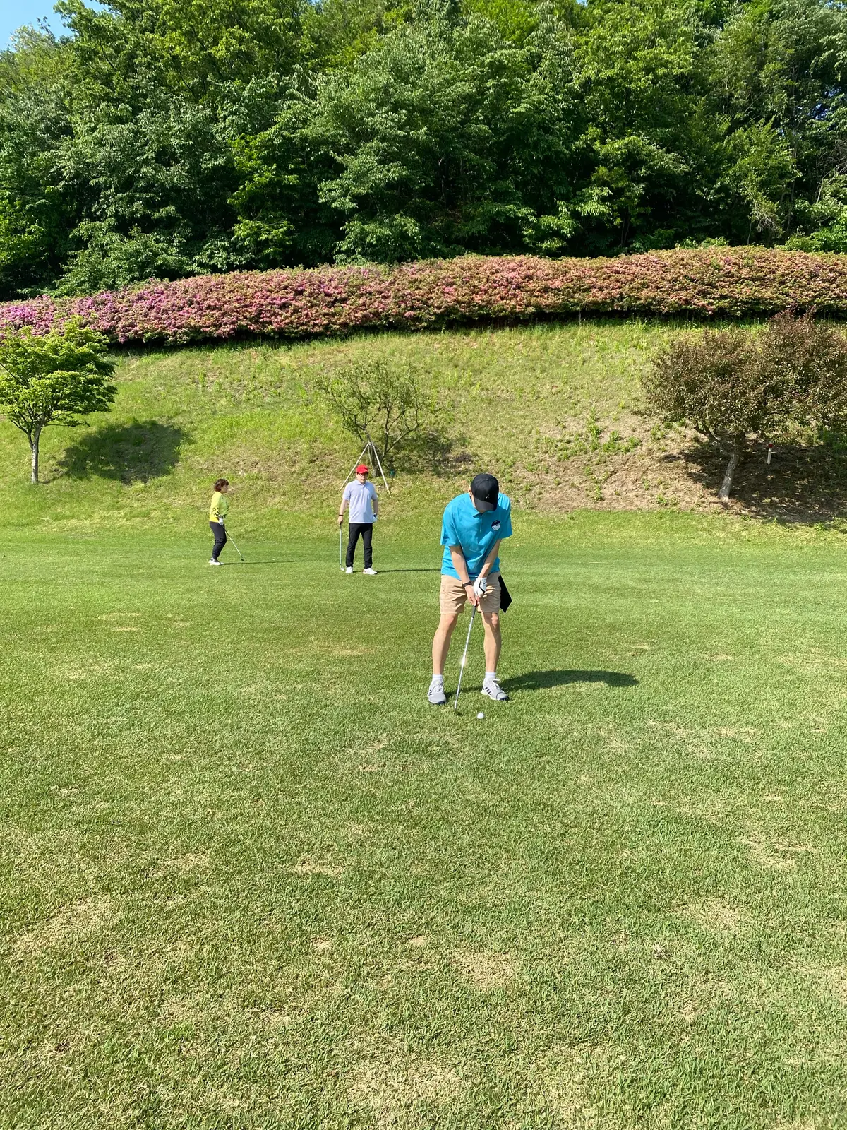이미지 11