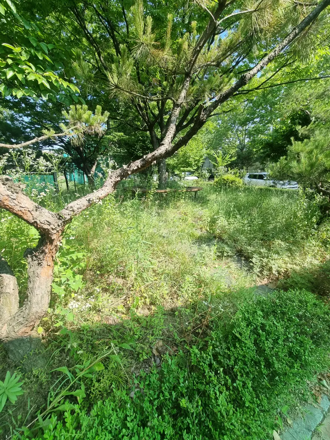 이미지 3