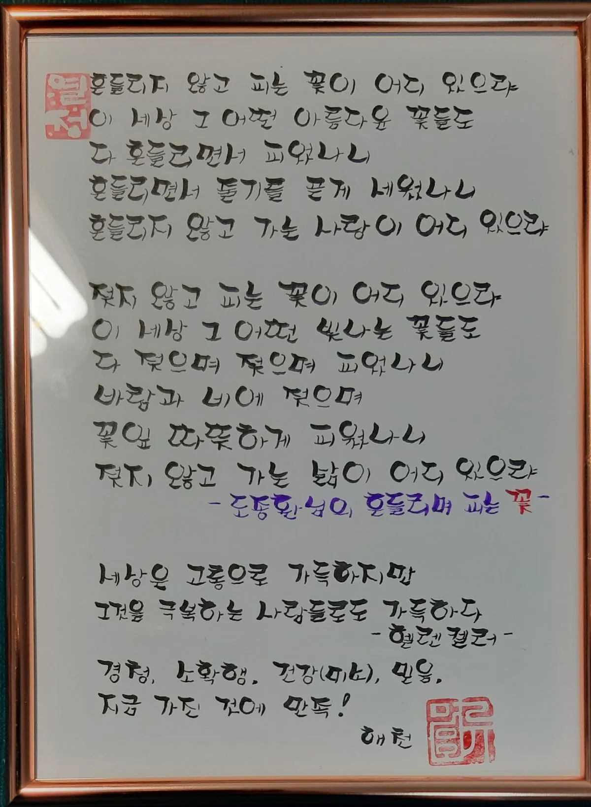 포트폴리오 이미지