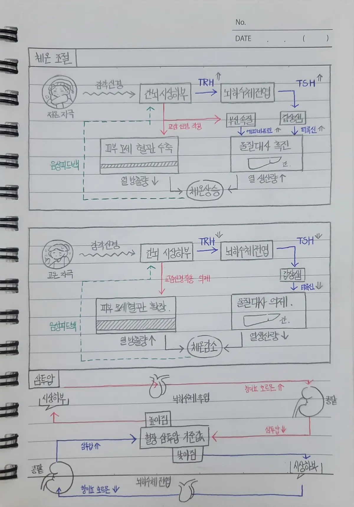 이미지 8
