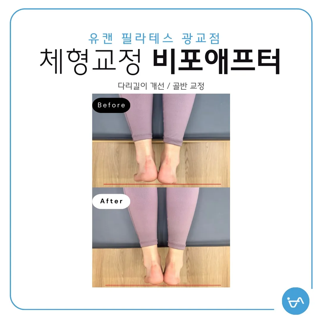 이미지 5