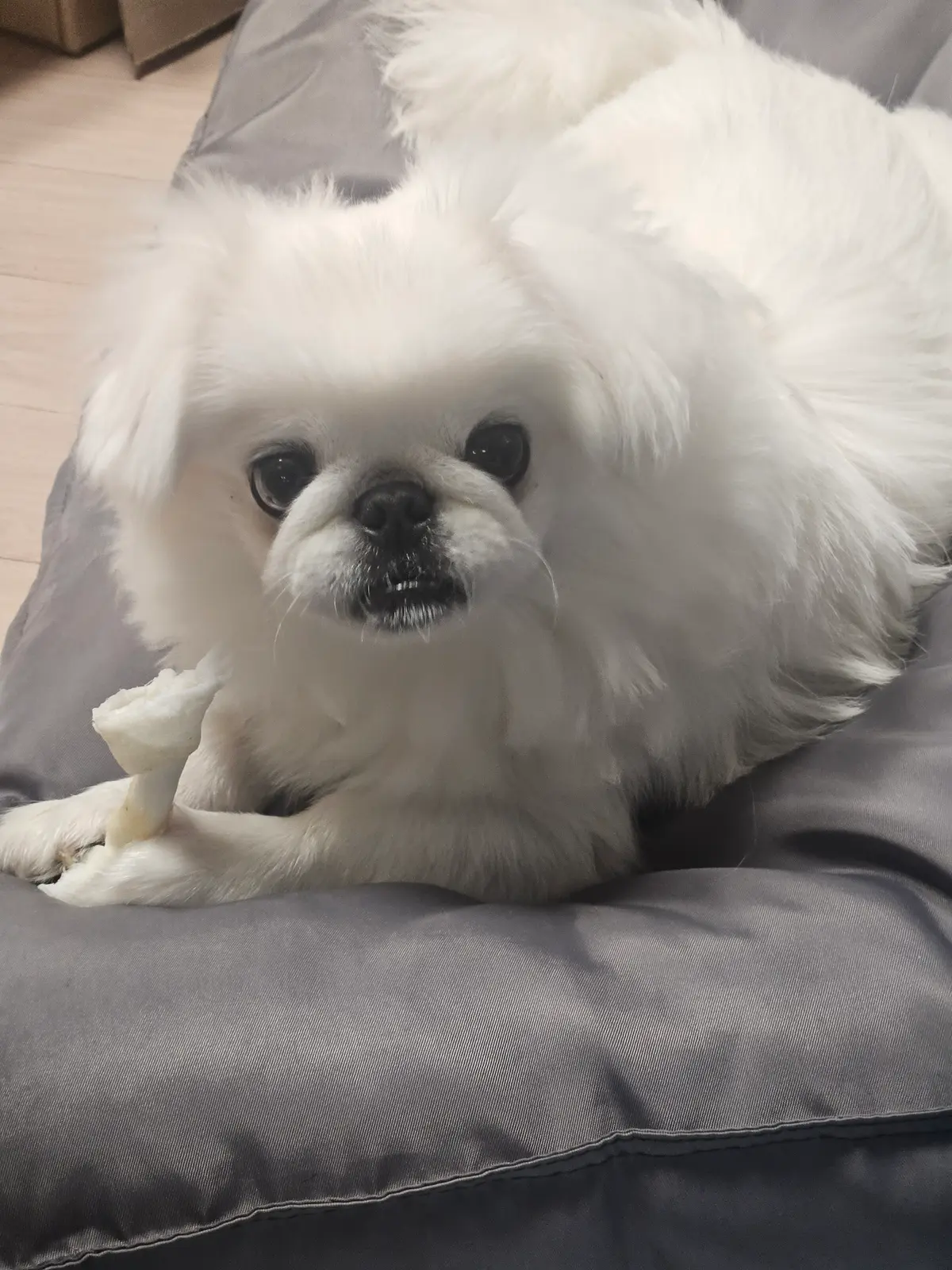 이미지 3
