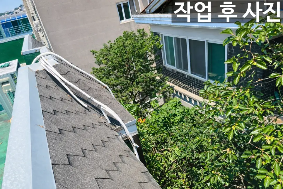 이미지 6