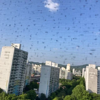 분당구 수내동 미세방충망 시공