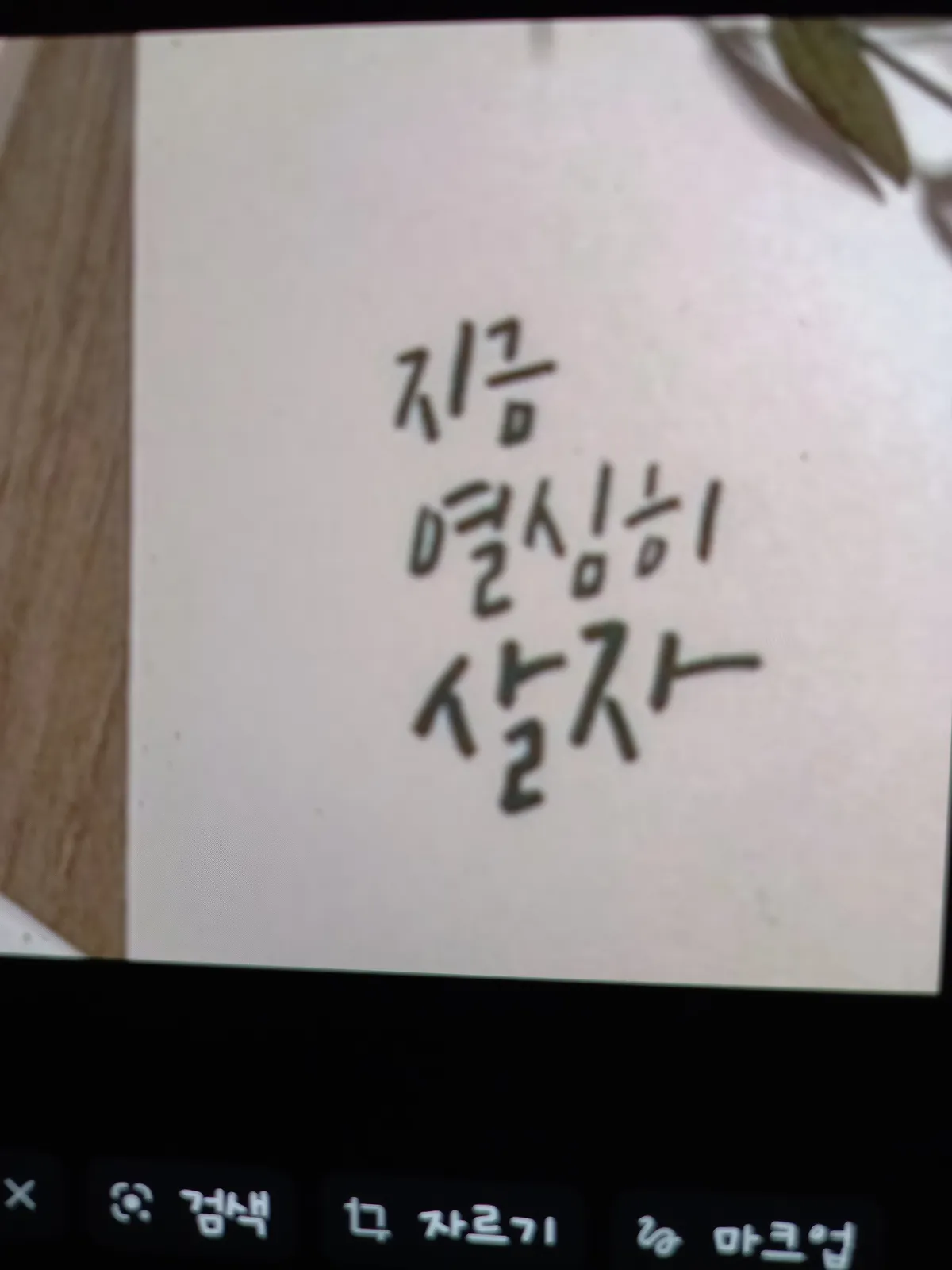 이미지 4