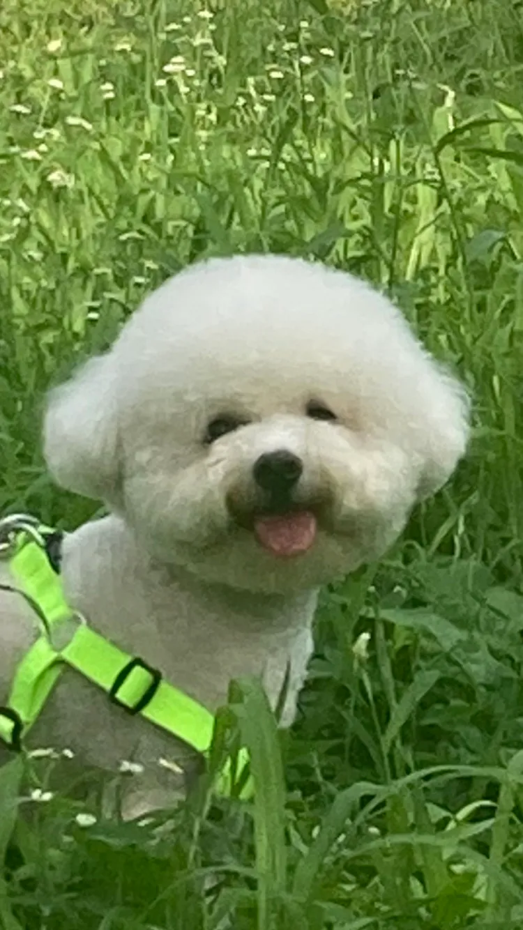 이미지 5