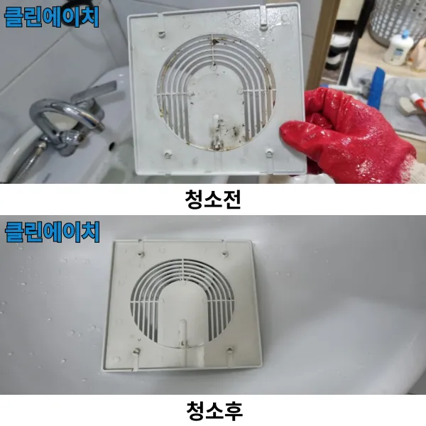 이미지 6