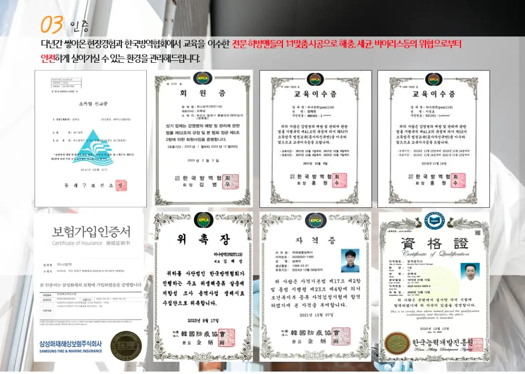 이미지 6