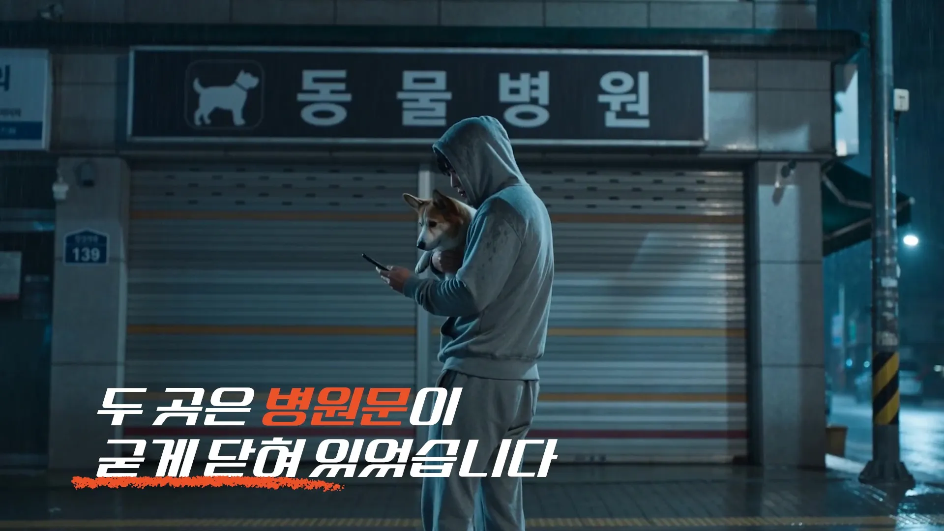 이미지 4