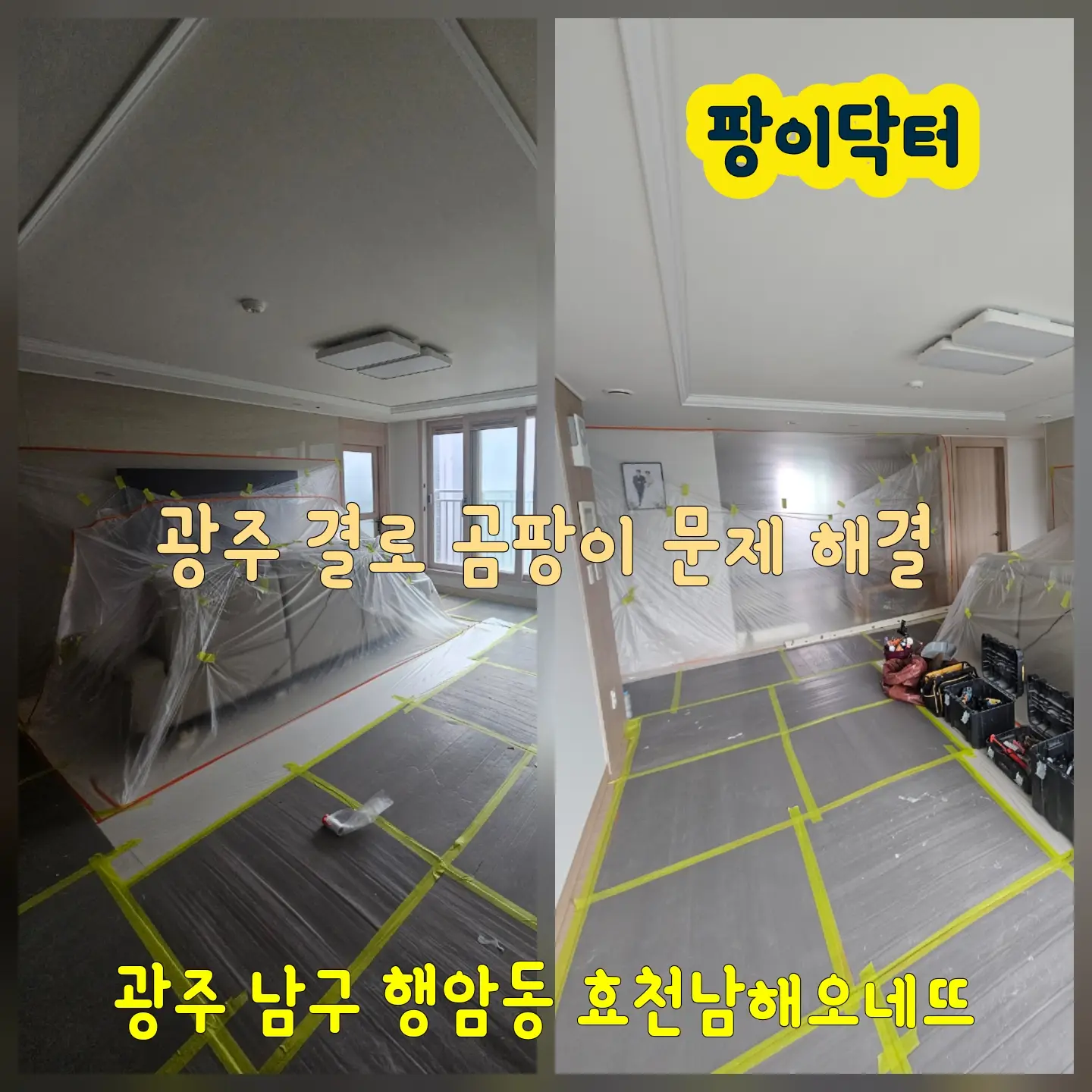 이미지 6