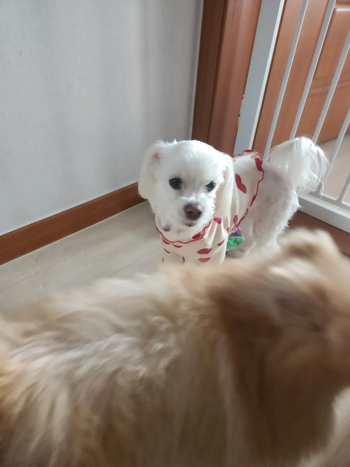 이미지 7