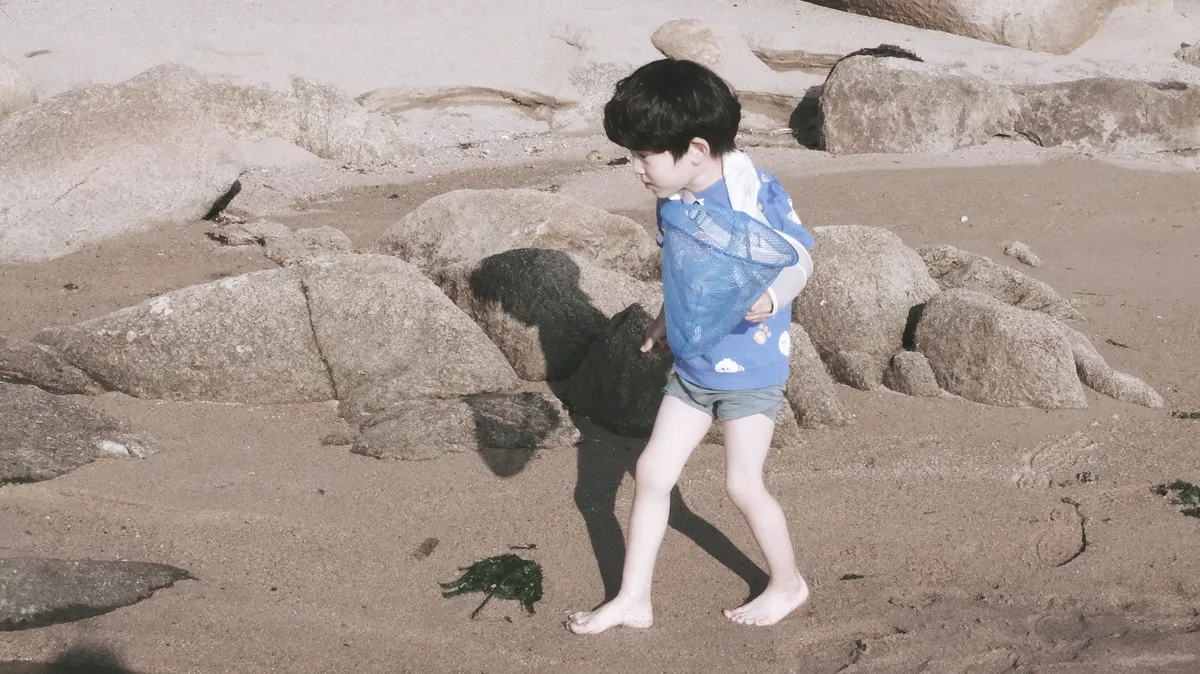 이미지 7
