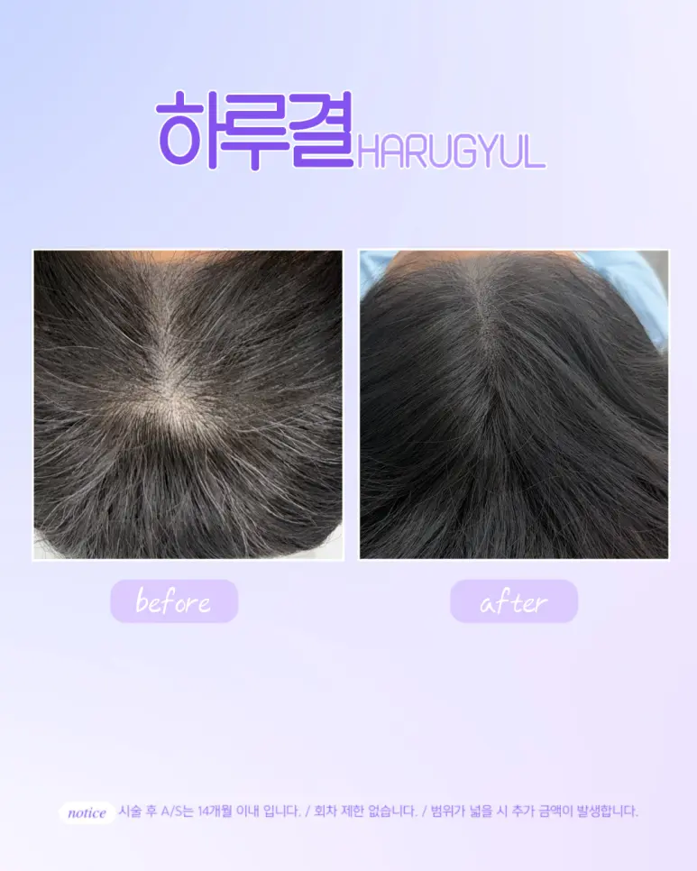 이미지 8